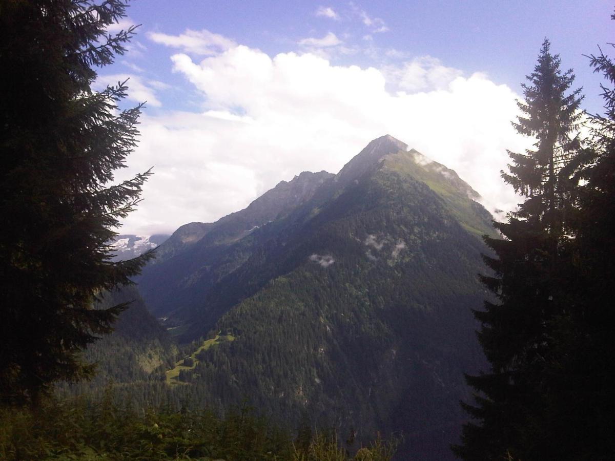 Seiringer *