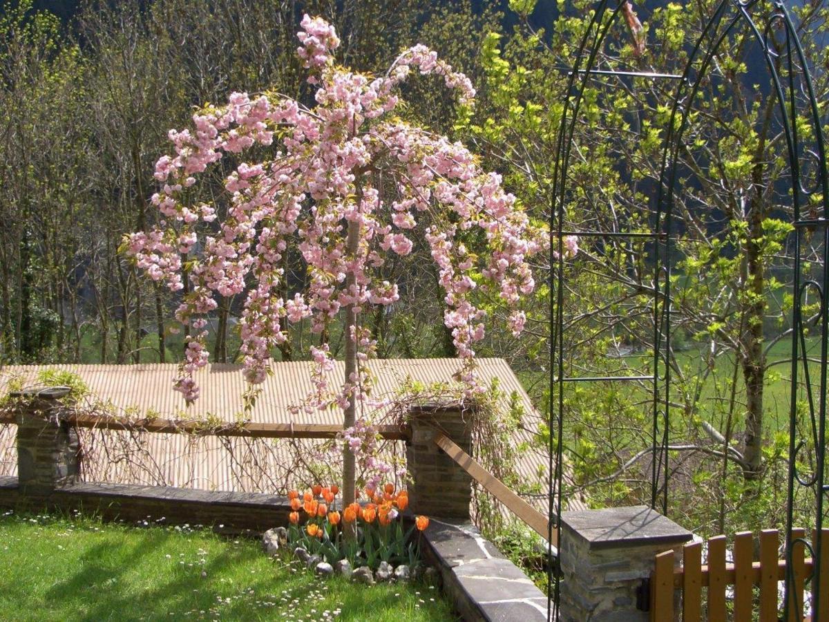 Appartamento Seiringer Finkenberg
